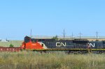 CN 2169